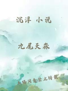 沉浮 小说