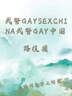 武警GAYSEXCHINA武警GAY中国