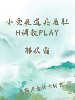 小受夹道具羞耻H调教PLAY