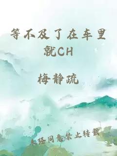 等不及了在车里就CH