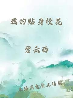 我的贴身校花