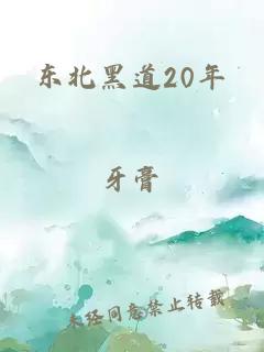 东北黑道20年