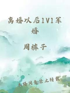 离婚以后1V1军婚