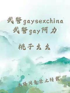 武警gaysexchina武警gay阿力