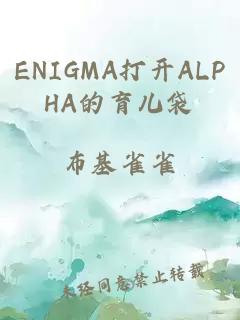 ENIGMA打开ALPHA的育儿袋