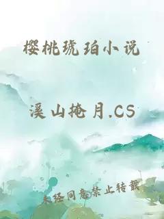 樱桃琥珀小说