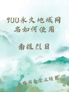 9UU永久地域网名如何使用