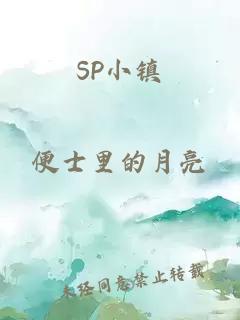 SP小镇