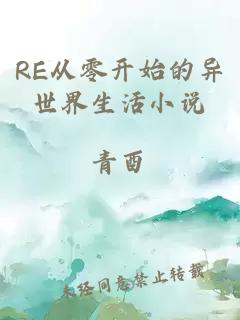 RE从零开始的异世界生活小说