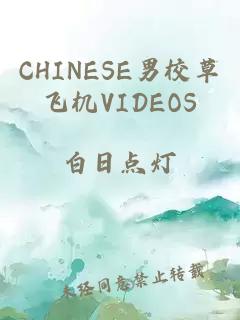 CHINESE男校草飞机VIDEOS