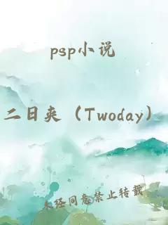 psp小说