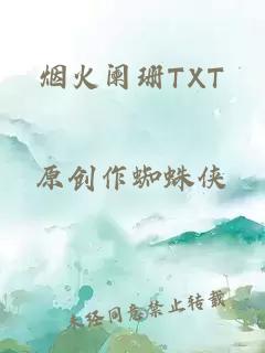 烟火阑珊TXT