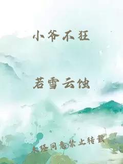 小爷不狂