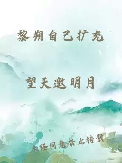 黎朔自己扩充