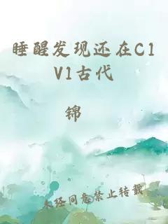 睡醒发现还在C1V1古代