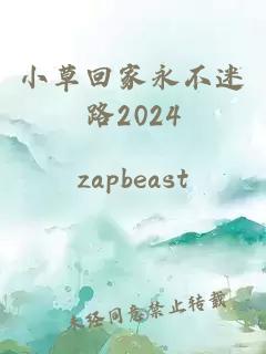 小草回家永不迷路2024