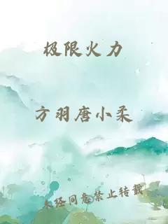 极限火力