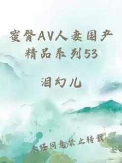 蜜臀AV人妻国产精品系列53