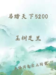 马踏天下5200