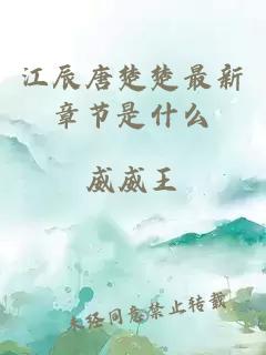 江辰唐楚楚最新章节是什么