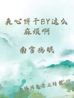 夹心饼干BY这么麻烦啊