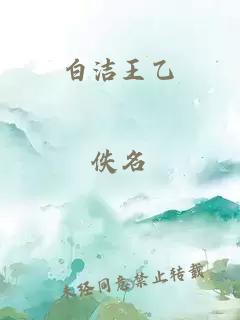 白洁王乙