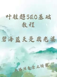 叶胜超SEO基础教程