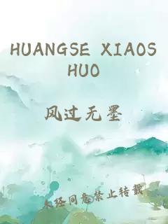 HUANGSE XIAOSHUO