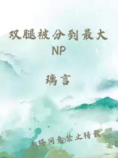 双腿被分到最大NP