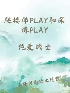 爬楼梯PLAY和深蹲PLAY