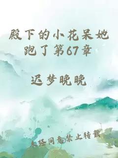 殿下的小花呆她跑了第67章