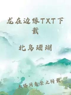 龙在边缘TXT下载