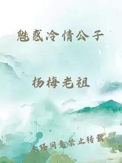 魅惑冷情公子