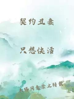 契约丑妻