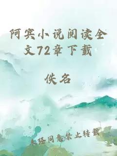 阿宾小说阅读全文72章下载