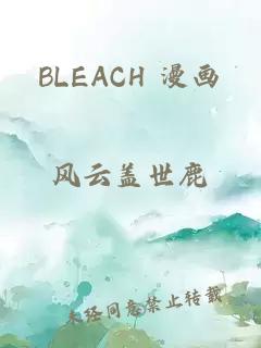 BLEACH 漫画