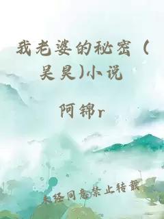 我老婆的秘密 (吴昊)小说