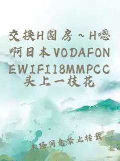 交换H圆房～H嗯啊日本VODAFONEWIFI18MMPCC