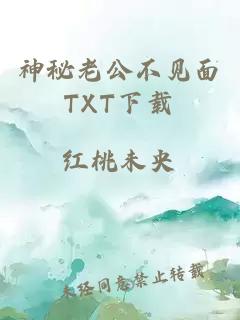 神秘老公不见面TXT下载