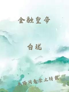 金融皇帝