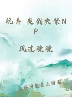 玩弄 爽到失禁NP