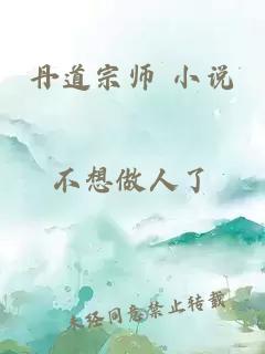 丹道宗师 小说