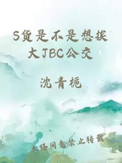 S货是不是想挨大JBC公交