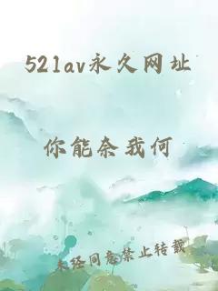 521av永久网址