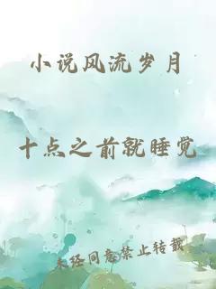 小说风流岁月