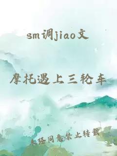 sm调jiao文