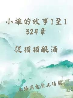 小雄的故事1至1324章