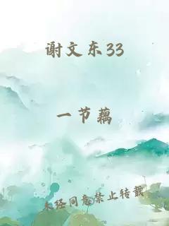 谢文东33