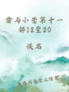 翁与小莹第十一部12至20