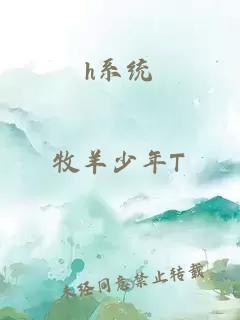 h系统